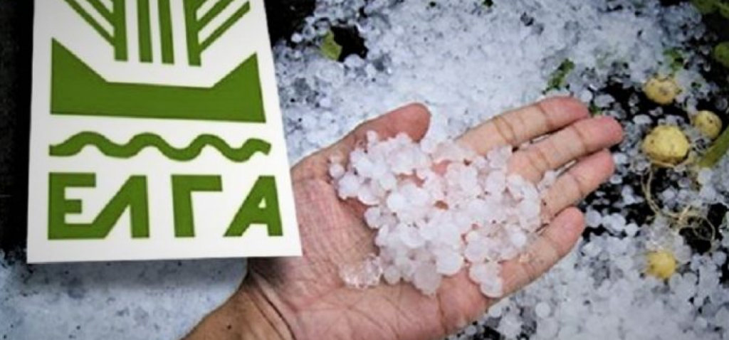 ΑΝΑΚΟΙΝΩΣΗ ΕΛΓΑ ΓΙΑ ΖΗΜΙΕΣ ΣΤΗ ΦΥΤΙΚΗ ΠΑΡΑΓΩΓΗ ΑΠΟ ΤΟ ΧΑΛΑΖΙ ΤΗΣ 26-01-2023